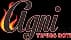 Agni logo
